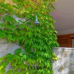 Apartman Garden - Bbq, Ampio Giardino E A/c