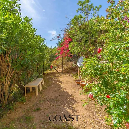 Garden - Bbq, Ampio Giardino E Ac Apartman *